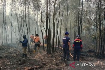 Satgas padamkan karhutla di Sungai Rotan Muara Enim dari jalur udara