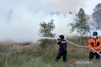 Indonesia urges post-fire reviews to prevent recurring wildfires