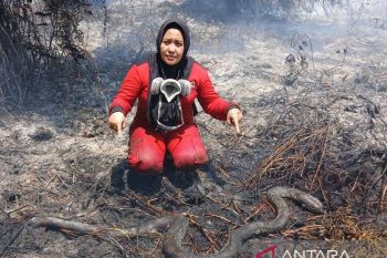Satwa semakin terancam akibat karhutla di Kalbar