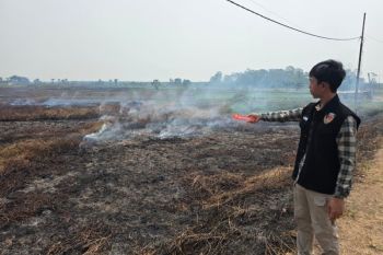 Polres HSS amankan dua warga tertangkap tangan membakar lahan
