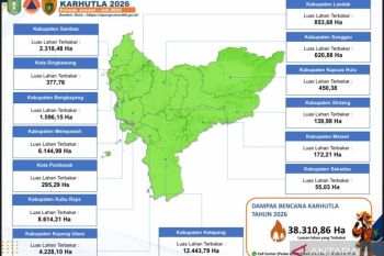 Karhutla di Kalbar pada Januari-Agustus mencapai 38.310 hektare