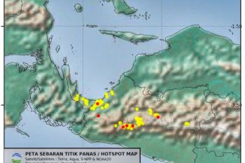 BMKG catat 279 titik panas di Nabire terbanyak se-Papua Tengah