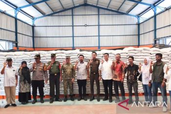 Bulog Tolitoli salurkan 867,9 ton beras untuk 28 ribu penerima manfaat