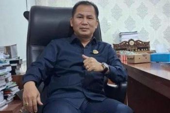 Susilo: Karnaval budaya perkuat kebersamaan warga Murung Raya