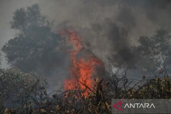 Indonesian police step up crackdown on forest, land fires