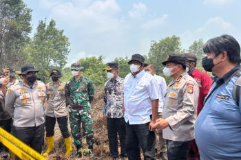 Menteri LH: 85 ribu hektare wilayah konsesi di Indonesia terbakar
