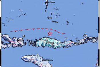 BMKG: Gempa magnitudo 5,2 di Flores tidak berpotensi tsunami