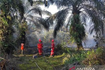 Perusahaan Migas PetroChina Jabung bantu padamkan Karhutla di Jambi