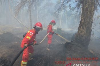Satgas Karhutla Jambi berjibaku padamkan areal gambut Desa Muntialo