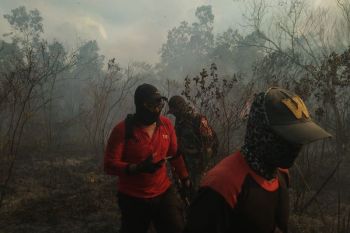 Wagub Lampung sebut water bombing dioperasikan Minggu atasi karhutla TNWK