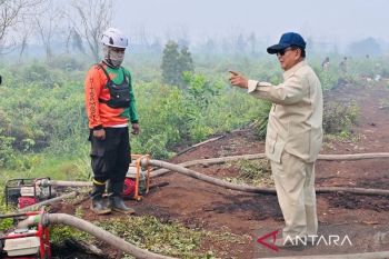 Prabowo to oversee wildfire response in Sumatra after Kalimantan