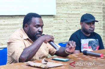 Pemprov Papua Tengah bentuk Satgas Karhutla di delapan kabupaten