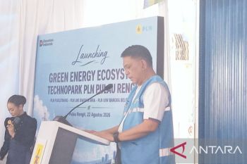 Kementerian ESDM: GEET Pulau Rengit Belitung jadi contoh nasional