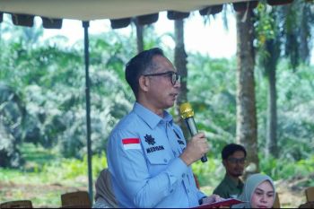 Sekda Dharmasraya saksikan dimulainya peremajaan sawit di KUD Lubuk Karya