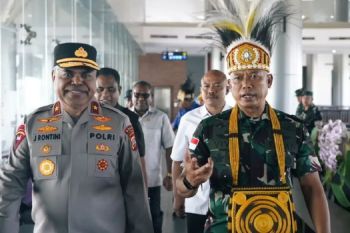 TNI cari sembilan perempuan yang dibawa KKB
