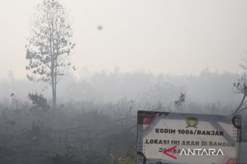 BMKG: 696 hotspot karhutla muncul di Kalsel pada Minggu