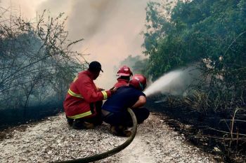 BNPB minta negara-negara tak saling menyalahkan soal asap karhutla