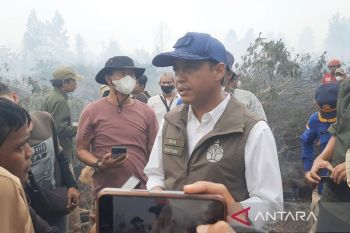 Ministry to deploy 1,000 rangers to extinguish Kalimantan wildfires