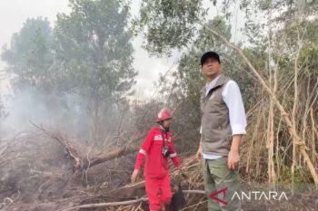 Menhut ingatkan  fluktuasi titik panas perlu terus dipantau