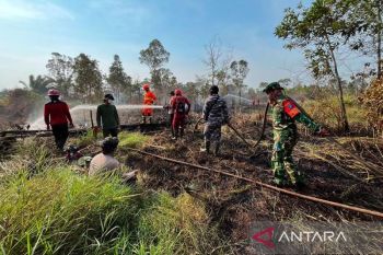 BNPB conducts weather modification to protect Way Kambas elephants