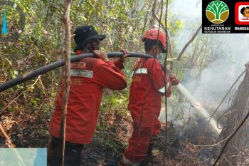 Balai Dalkarhut Sumatra kerahkan BKO karhutla ke Sumsel