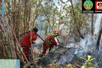 Manggala Agni Sumatra berjibaku padamkan karhutla di 17 desa