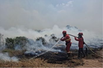 Kemenhut tambah personel, perkuat operasi udara hadapi karhutla Sumsel