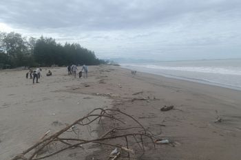 Pemkab Pasaman Barat dorong pokdarwis berikan pelayanan terbaik bagi wisatawan