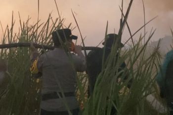 Polda Lampung petakan potensi kebakaran karhutla