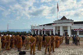Bupati Nduga minta OPD mulai antisipasi dampak musim kemarau panjang