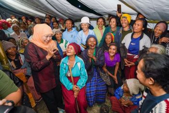Gubernur Khofifah dorong pendampingan psikososial bagi lansia korban gempa NTT
