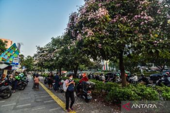 Hari senin, wilayah Jakarta diperkirakan cerah berawan