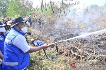 Menteri LH: Tidak ada toleransi bagi pelaku pembakar lahan