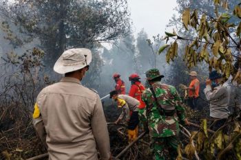 Tim gabungan padamkan karhutla 10 hektare di Singkawang