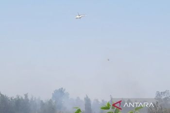 Empat helikopter water bombing dikerahkan padamkan karhutla Kalsel