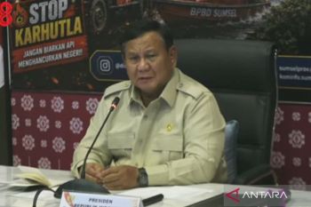 Presiden Prabowo dorong inovasi tepung singkong untuk padamkan karhutla