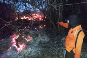 Pemda Kaltim melarang warga bakar lahan pertanian untuk hindari karhutla