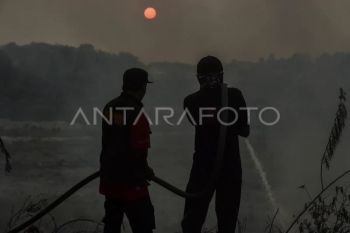 Pemadaman kebakaran lahan di Batang Hari