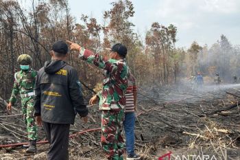 Bupati Belitung apresiasi TNI bantu padamkan karhutla