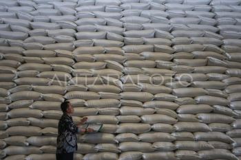 Bulog: Stok beras di Sumsel capai 116 ribu ton