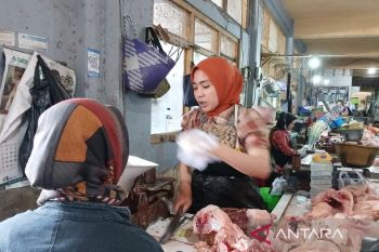 Pemkab Temanggung menjamin pasokan daging ayam lancar