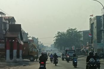Pemkot Disdik Pekanbaru perpanjang belajar daring akibat asap sampai Jumat