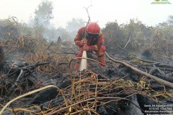 Manggala Agni catat luas kebakaran hutan dan lahan di Pelalawan Riau capai 702 hektare