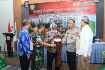 Pemprov Papua Selatan perkuat koordinasi cegah kebakaran hutan dan lahan