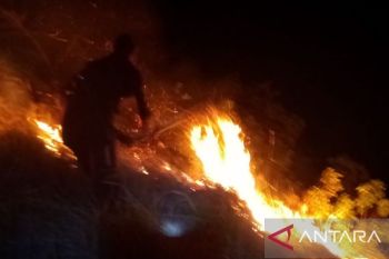 BPBD: Hujan di Kulawi dan Pipikoro tekan potensi kebakaran hutan dan lahan