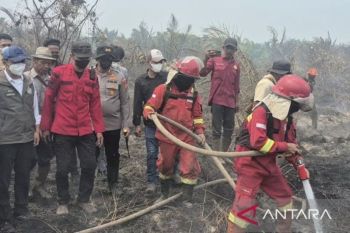 Menhut tambah sarpras sumur hidran antisipasi karhutla berulang