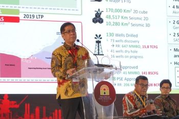 Praktisi: Optimalisasi gas domestik butuh infrastruktur terintegrasi