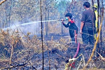 Wamenko Hanif: Intensifkan patroli guna cegah karhutla Kalsel meluas