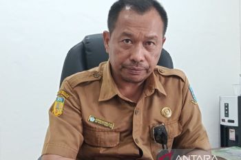 Realisasi pendapatan Pemkab Jayawijaya hingga Agustus capai Rp600 miliar
