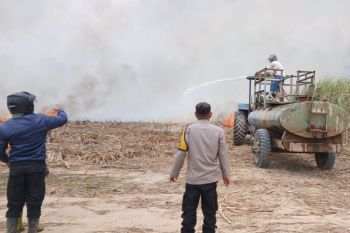 SGN gandeng Polda Sumsel kendalikan kebakaran lahan tebu di Ogan Ilir